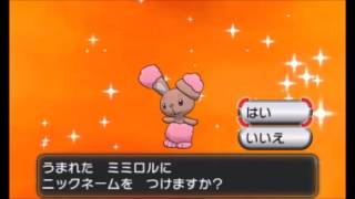 ミミロル ポケットモンスター シードラ ズルズキン ウールー