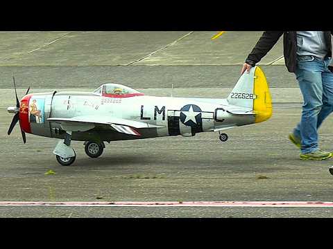 WARBIRD MEETING 2024 - LARGE SCALE RC MODELS AIRBORNE - SCHÄNIS, SWITZERLAND