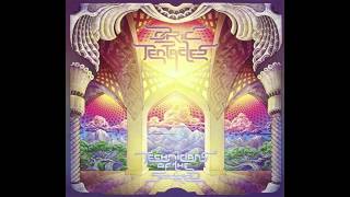 Ozric Tentacles — The High Pass