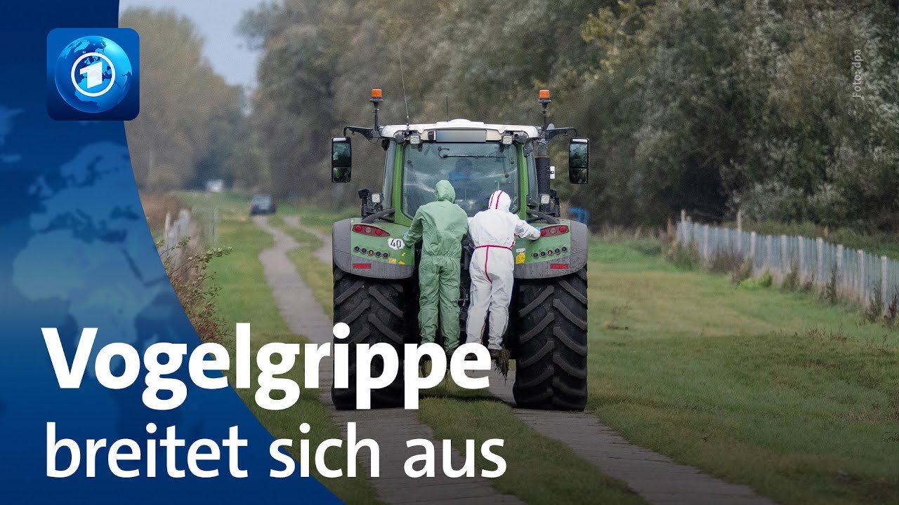 🌍 tagesschau24 Top-Thema, 24.10.2025 | Vogelgrippe in Deutschland