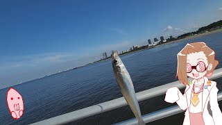雀botが釣った魚を料理して食べる動画　＃２　キスの天ぷら