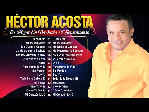 LO MEJOR DE LOS TOROS BAND Y EL TORITO -  BACHATA MIX 2025