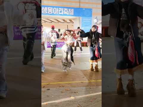도파민터지는#부리부리 챌린지‼️‼️‼️🎶#화성학생동아리축제#challenge