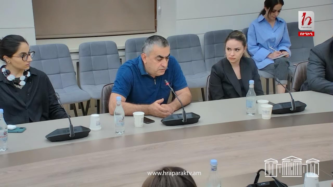 #Ուղիղ․ ԱԺ արտաքին հարաբերությունների մշտական հանձնաժողովի արտահերթ նիստ