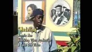 Beenie man - Modeling