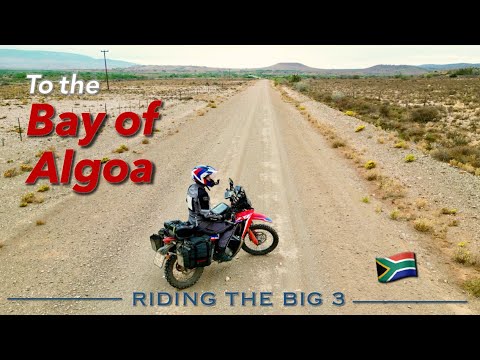 🇿🇦 Riding the Big 3: Steytlerville to Port Elizabeth | Uitenhage | Despatch | CRF 300 Rally