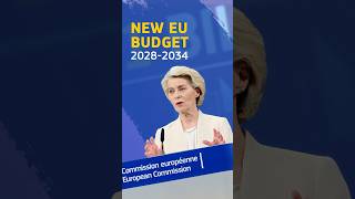 New budget adopted for 2028-2034
