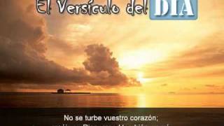 Miniatura del video: El versiculo del dia .com - Juan 14 v1