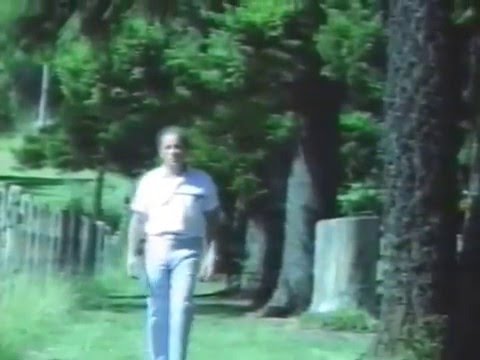 Nerga Nigi - David Azzopardi