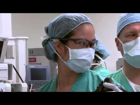 NY Med   Episode 8 2   YouTube