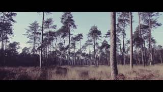 TROPIQUE NOIR - TIZEUR