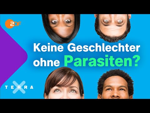 Wie Parasiten unser Leben beeinflussen | Terra X plus