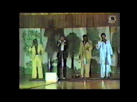 Thumbnail for The Dock Green Drifters - Live at U.G.H.A. - 1980 by Elsbeary Hobbs