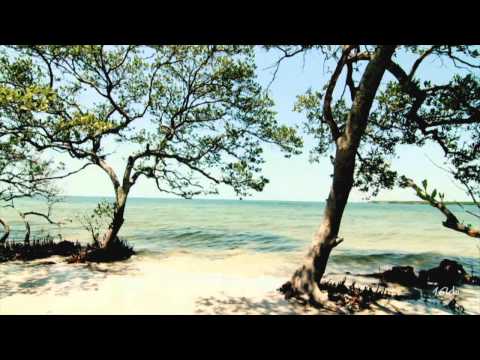 Simon O'Shine - Enthusiasm (Original Mix) [Music Video] [Defcon]