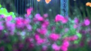 thunderball by the ian rich orchestra