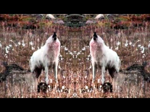 CjR - If I Survive Love Tonight (Bon Jovi/ Technotronic/ INXS/ Hybrid)