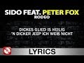 SIDO FEAT. PETER FOX - RODEO AGGROTV LYRICS ...