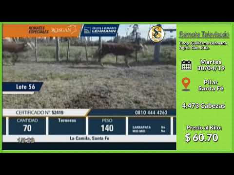 30-04-19 - Venta de Hembras - Remate Televisado de Guillermo Lehmann - Santa Fé