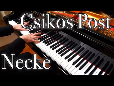 【Necke】Csikos Post