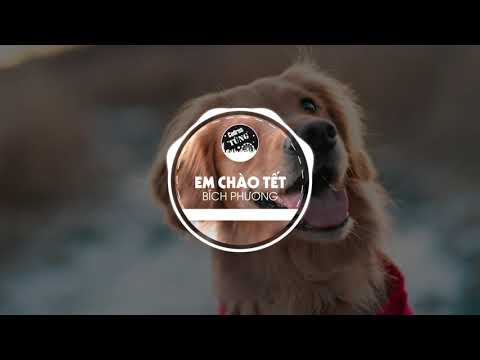 BÍCH PHƯƠNG x CO.OPMART - Em Chào Tết || Tùng Cedrus ! #BP #ECT