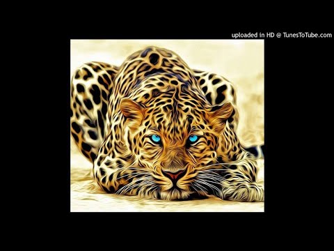 sesion fantasma 35 SECTOR 9 DJ MARK