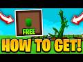 HOW TO GET BEANSTALK SEED FREE SHOWCASE In GROW A GARDEN ROBLOX GROW A GARDEN