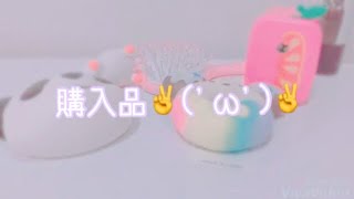 こーにゅーひん！ᐠ( ᐛ )ᐟᐠ( ᐖ )ᐟ