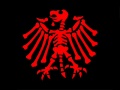 Die Toten Hosen - Und Wir Leben (Studio) 