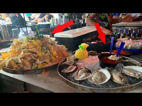 image-Is crabs in Pensacola dog friendly?