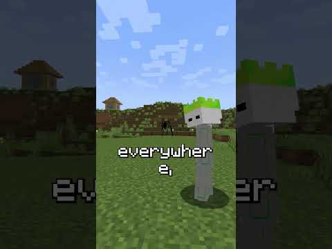 this pet should not exist...