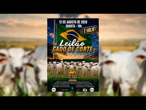 LEILÃO GADO DE CORTE ESTRELA DO AGRO LEILÕES  FAINA-GO 12/08/2026 | Leilão ao Vivo - Leilão de Gado