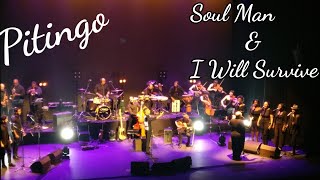 Pitingo. Mestizo y fronterizo. Soul man & I will survive. Concierto Directo Madrid. Mayo 2018