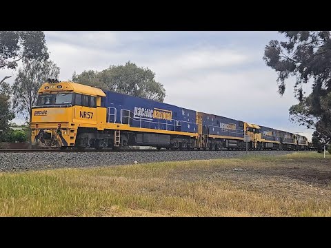 7XM4 PN up Steelie/Intermodal (5x NRs), Spencer Jnc to Melbourne, 1205, 19/10/25, Horsham VIC 