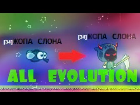 Max Level Evolution in FlyOrDie.io 