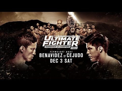 The Ultimate Fighter 24 Finale - Live DEC 3 SAT