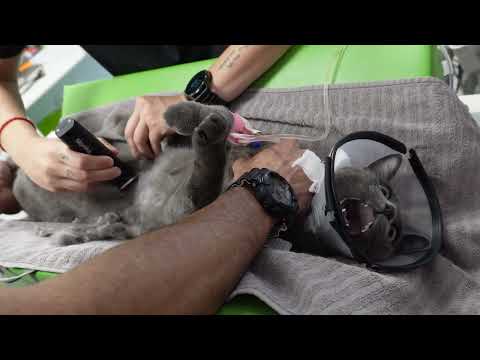 Exklusiv Heute: Ein besonderer Gast, eine Ziege bei uns!