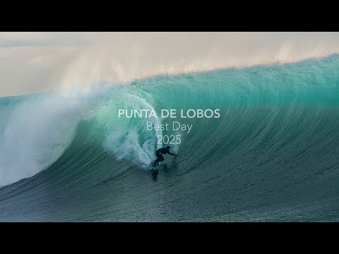 PUNTA DE LOBOS BEST DAY 2025 | CHILE