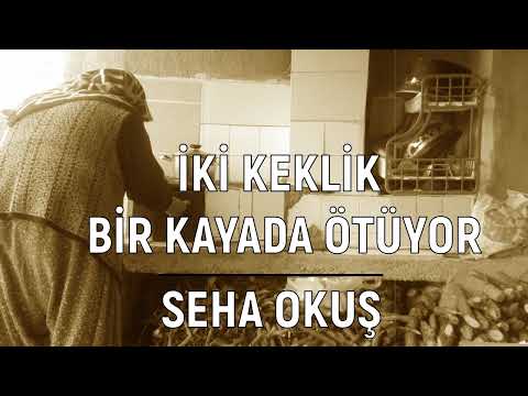 İki Keklik Bir Kayada Ötüyor - Seha Okuş (Yazması Oyalı Kundurası Boyalı)