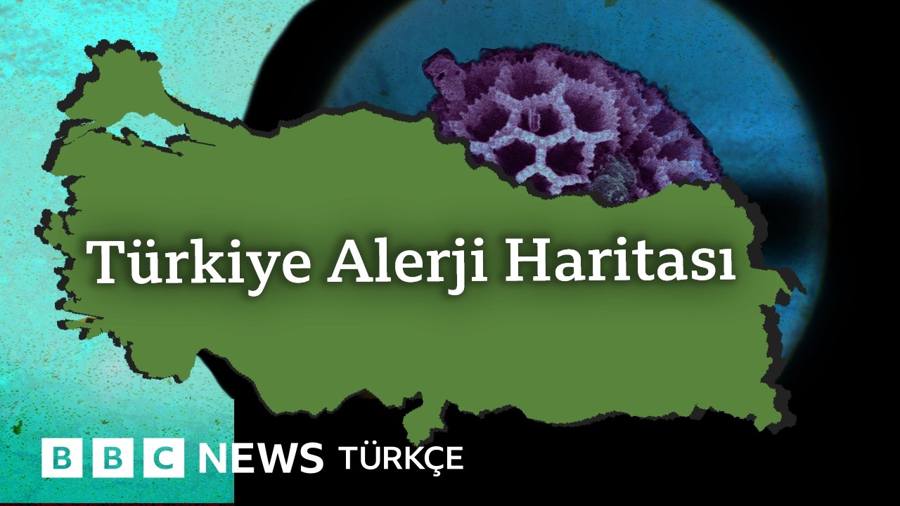 Polen, toz ve alerji: Neden artıyor?