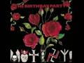 The Birthday Party- WildWorld