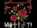 The Birthday Party- WildWorld 