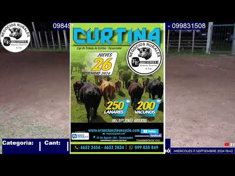 Remata Ernesto Esteves y Cia - Local Zapará Tacuarembó // 11 de Septiembre 2024