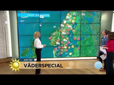 Då kommer värmen tillbaka! - Nyhetsmorgon (TV4)
