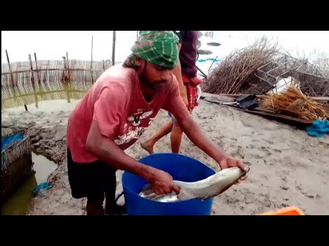 Amazing big nets catch hundreds tons of commercial herring on the modern boat --Biggest fishing Net.