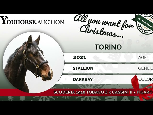 Torino