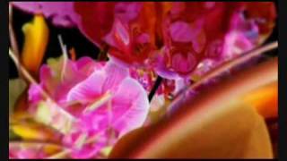 Fiori - If I