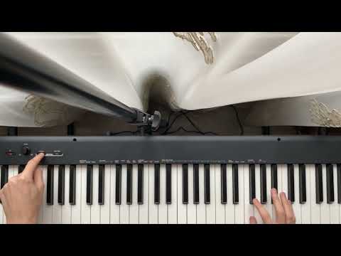 Цифровое пианино Casio CDP-S110