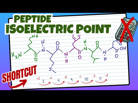 Peptide Isoelectric Point with pI Shortcut