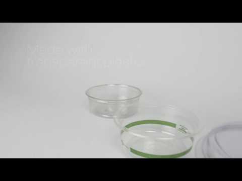 download lagu mp3 mp4 Round Salad Containers, download lagu Round Salad Containers gratis, unduh video klip Round Salad Containers