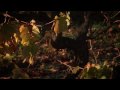 Henschke - Full Length Video (Australia's First Fa